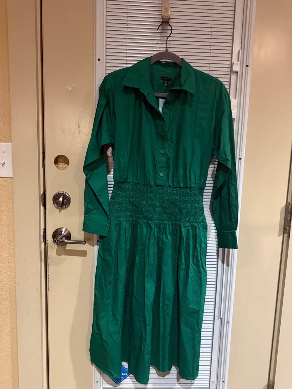 Ann Taylor Emerald Green Long-Sleeve Button-Front Dress